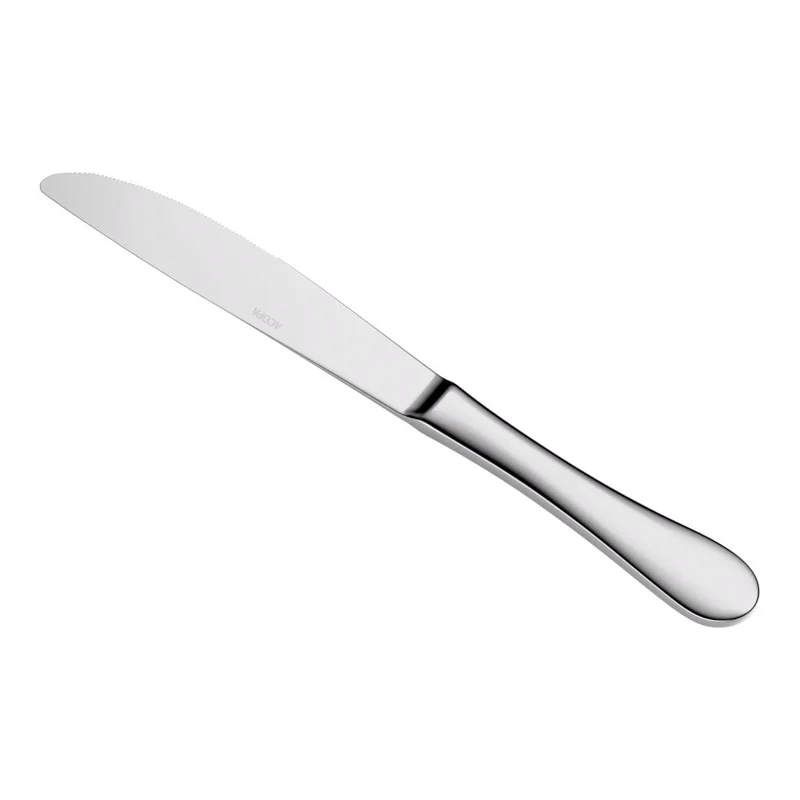 Steel Dinner Knife for rent in San Francisco